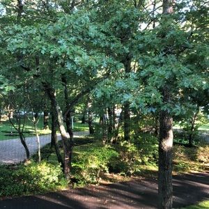 Meet your Posher, Elise